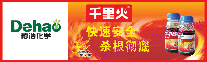 户外彩色条幅