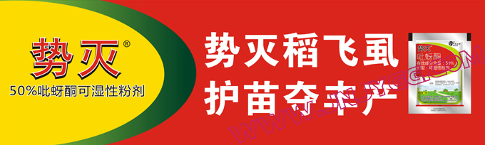 户外彩色条幅