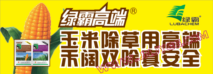 户外彩色条幅