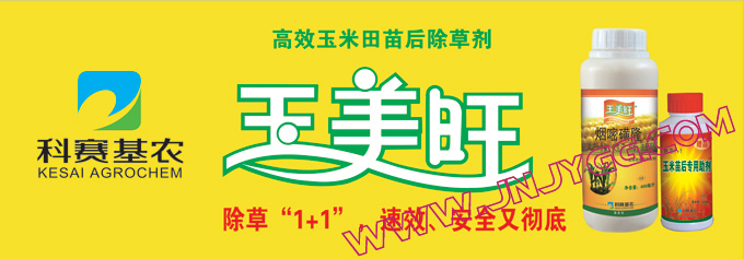 户外彩色条幅