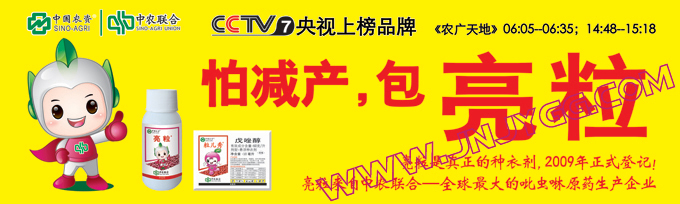 户外彩色条幅