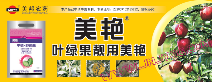 户外彩色条幅